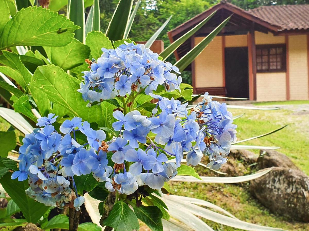 Pousada Canto Do Curio 帕拉蒂 外观 照片